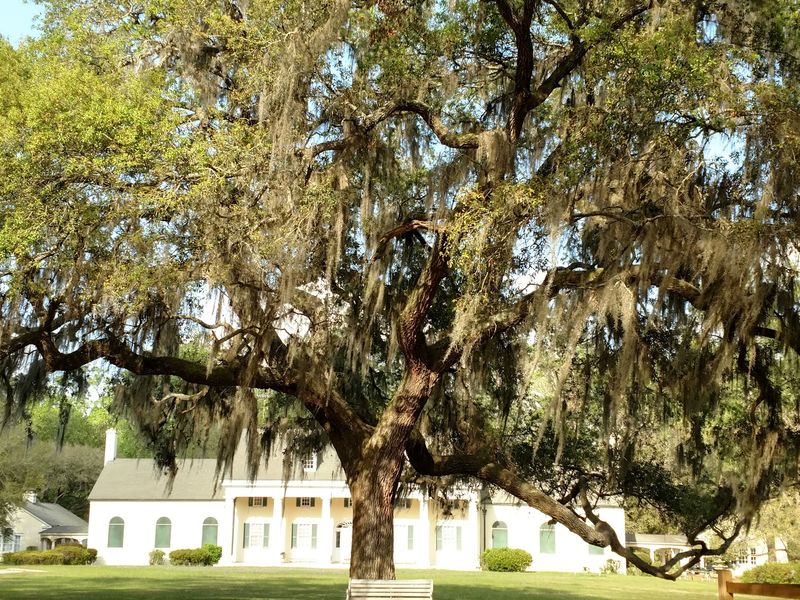 Stephen Foster Folk Culture Center State Park (White Springs)