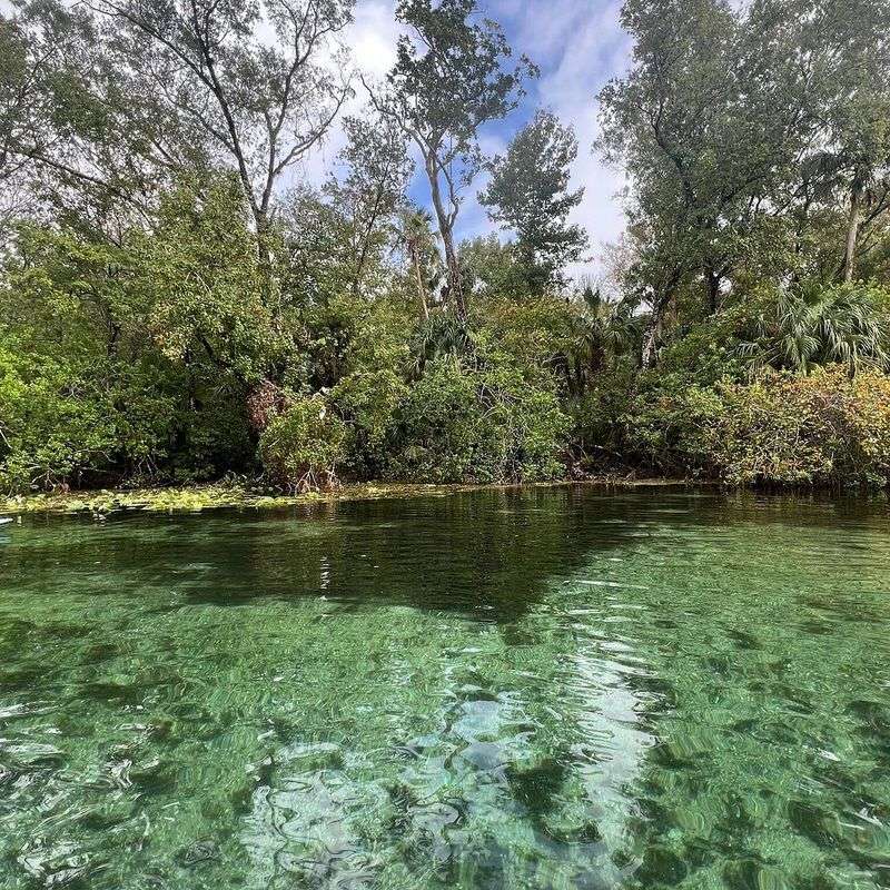 Alexander Springs (Ocala National Forest)