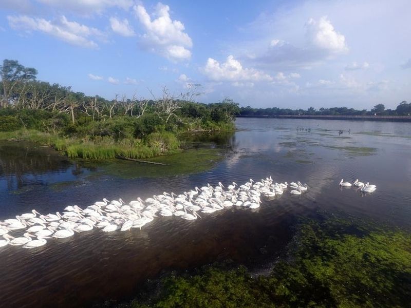 Timucuan Ecological and Historic Preserve (Jacksonville)
