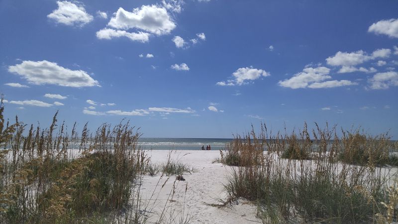 Keewaydin Island (between Naples and Marco Island)