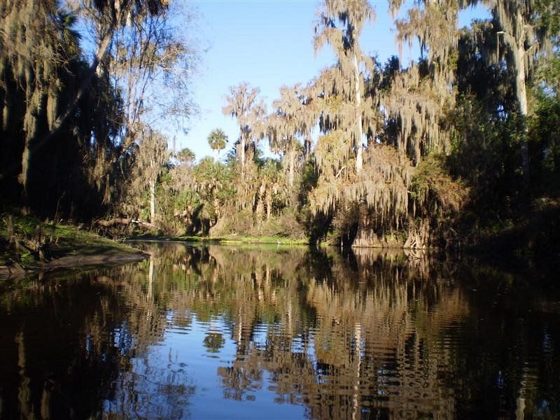 Peace River (Southwest Florida)
