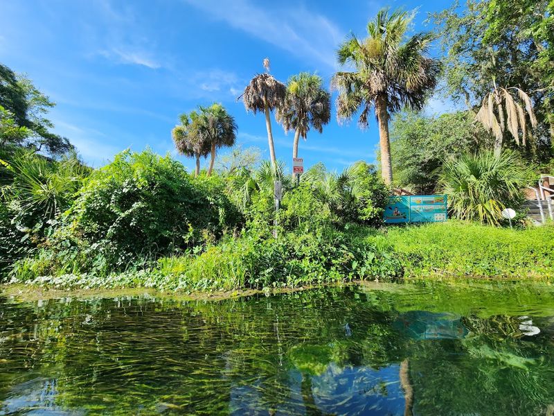 Weeki Wachee River (Weeki Wachee)