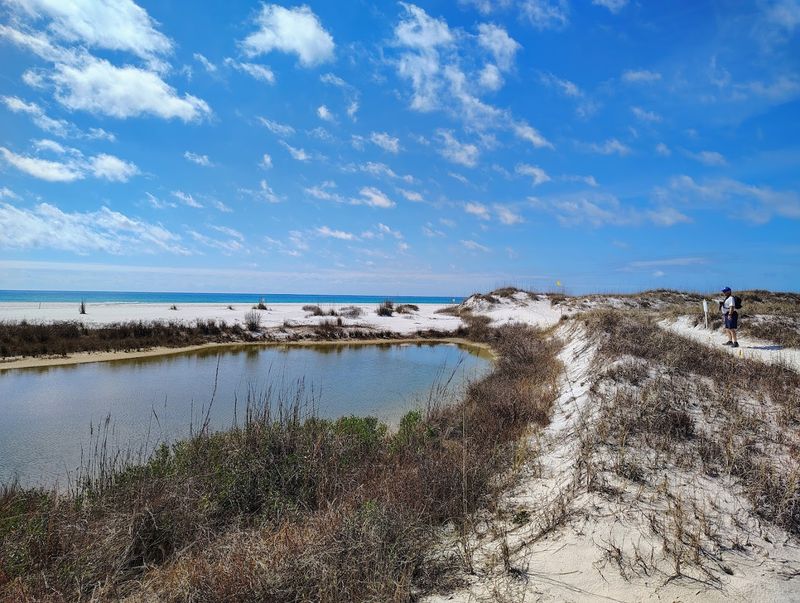 Camp Helen State Park Beach