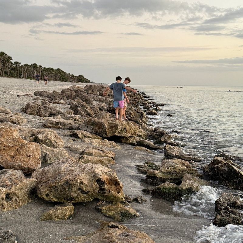 Hunt For Shark Teeth On Caspersen Beach (Venice)