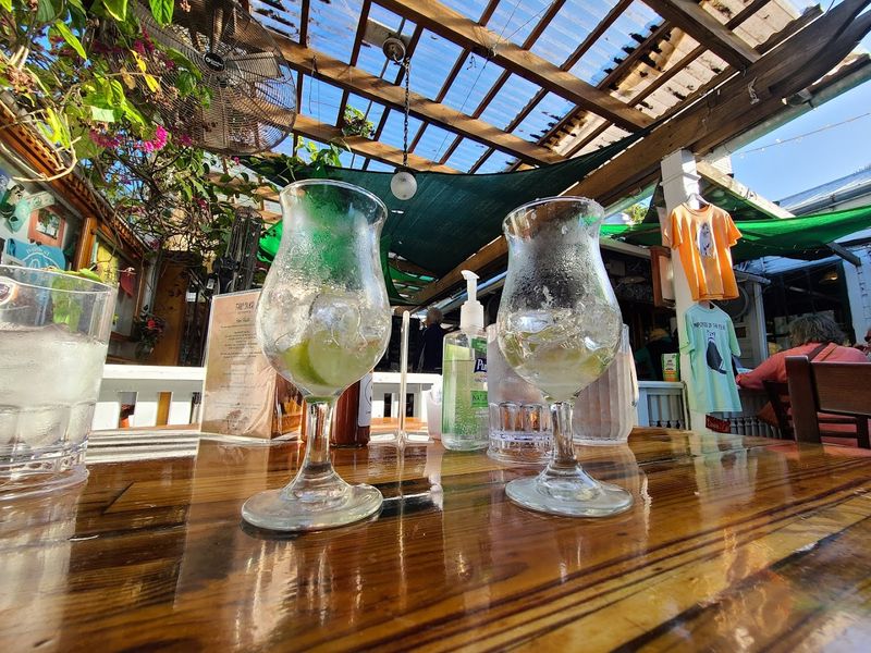 Outdoor Dining With Feathered Friends