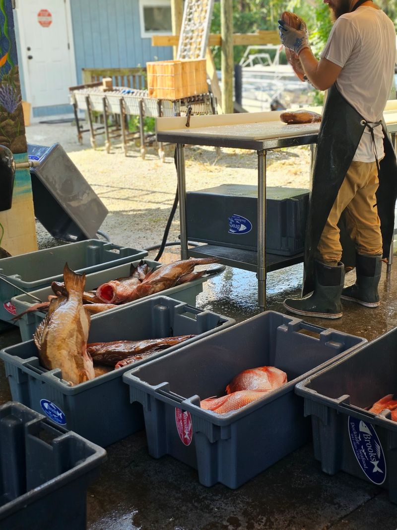 Stone Crabs And Seasonal Treasures