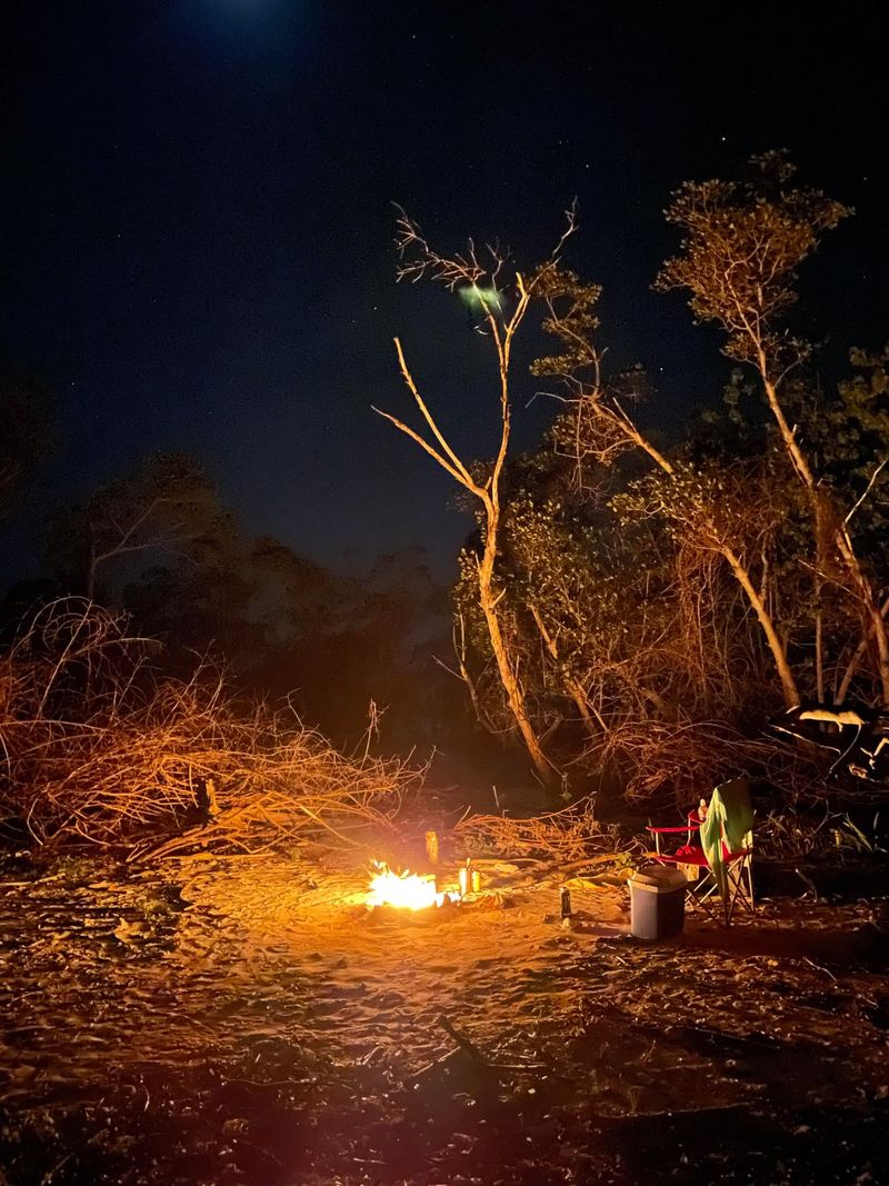 Camping Under the Stars at Designated Sites