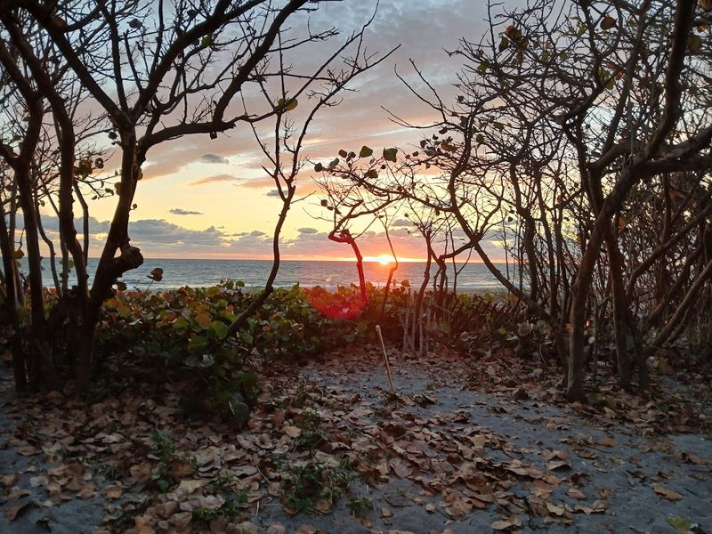 Sunrise Spot That Delivers