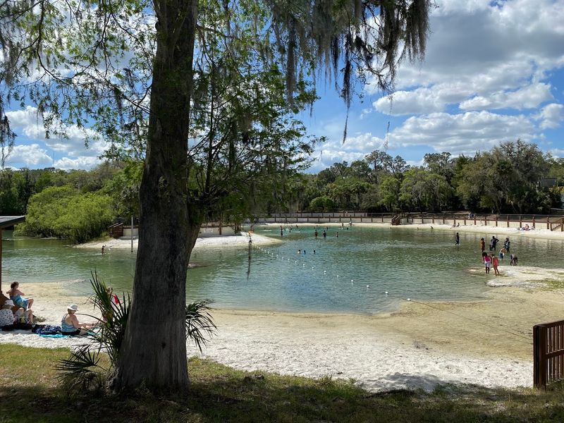 Shaded Picnic Areas Perfect for All-Day Hangouts