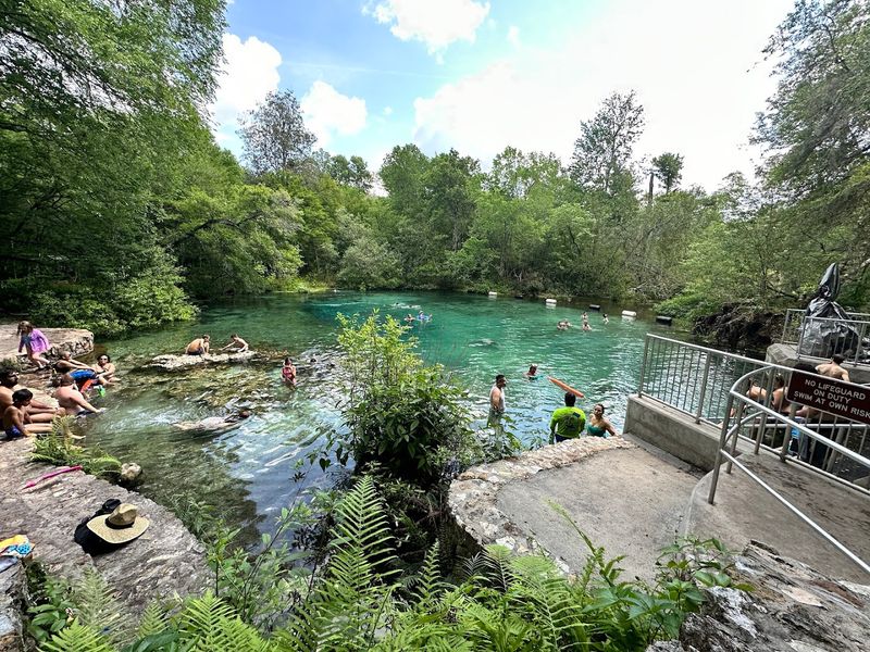 Ichetucknee Springs State Park (Fort White)