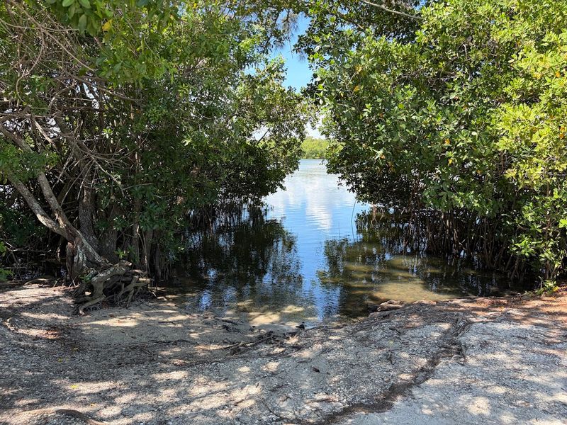 The Jungle Trail Approach