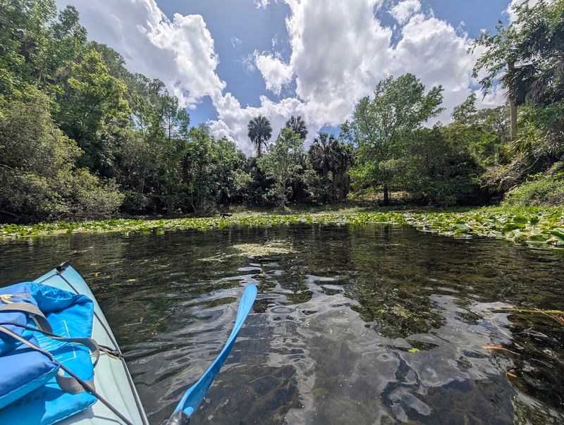 Silver Springs State Park