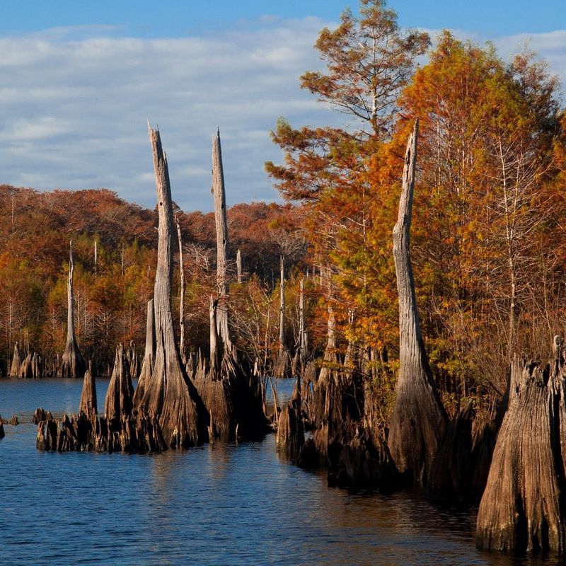 Getting There and First Impressions