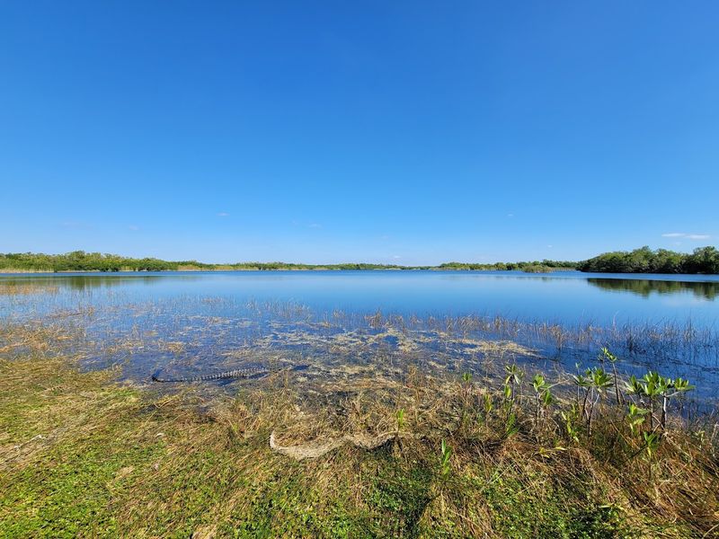 Nine Mile Pond Canoe Trail
