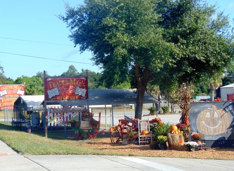 The Enormous Vintage Store In Florida Where $50 Gets You A Whole Cart Of Treasures