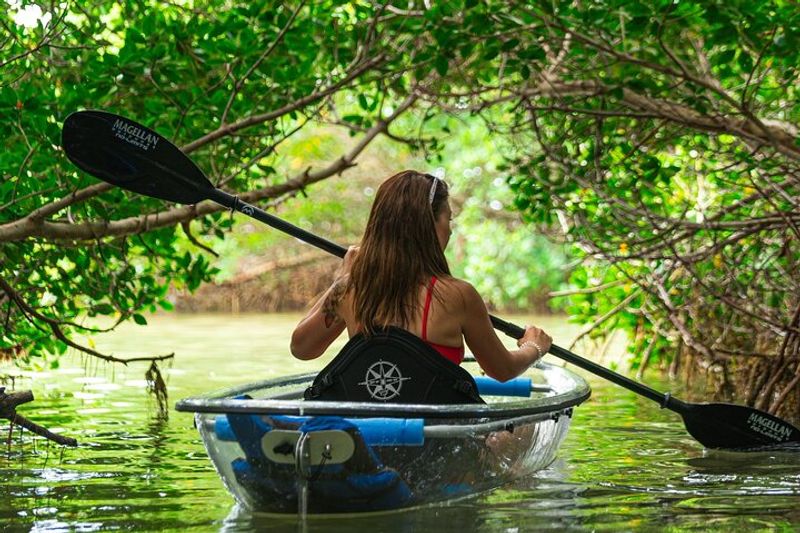Explore Shell Key Preserve's Untouched Island Paradise