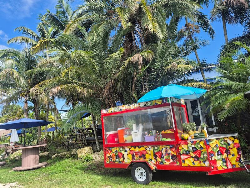 Food Trucks Serving Authentic Flavors