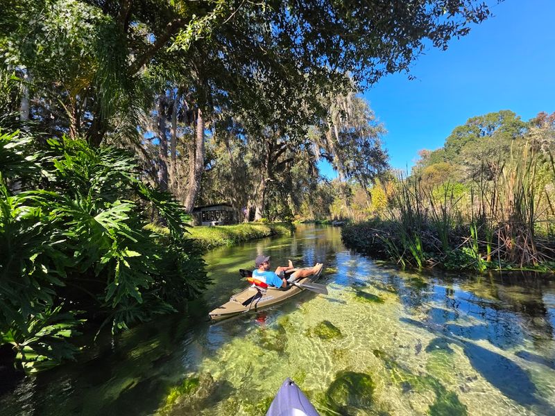 Budget-Friendly Paradise at Just Three Dollars