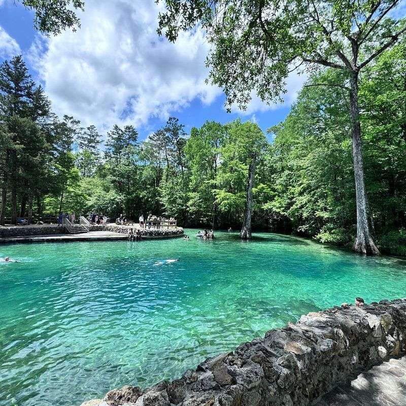 Freshwater springs for a different kind of swim day