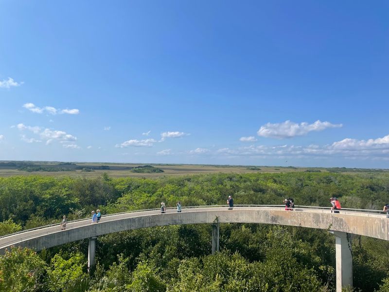 Shark Valley Tram Road Trail (Everglades National Park)