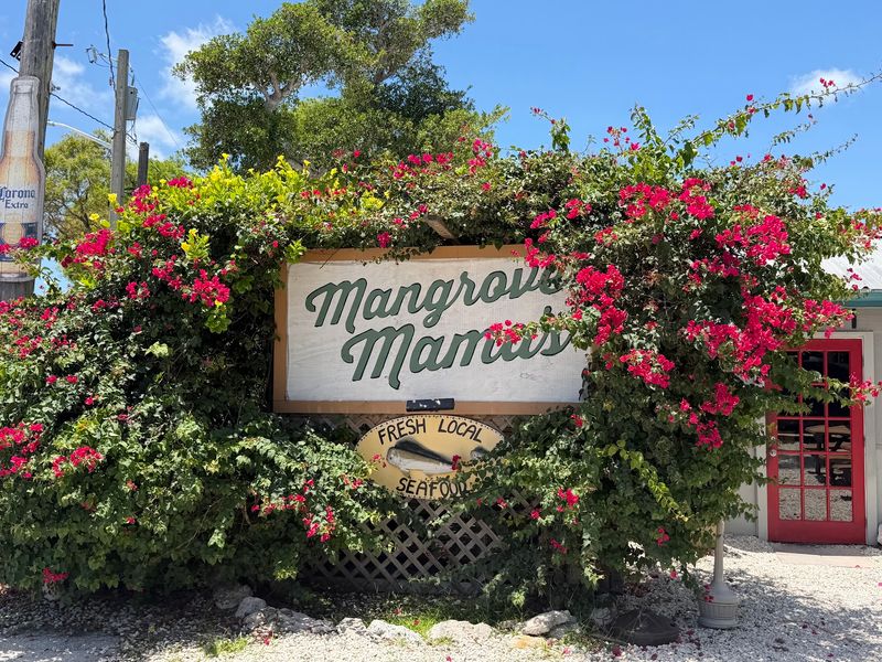 Vibrant Tropical Atmosphere That Feels Like Island Time