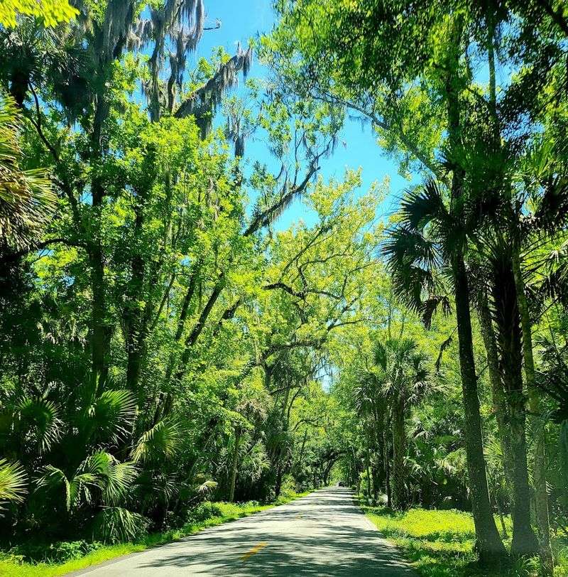 Ormond Scenic Loop & Trail (Ormond Beach)
