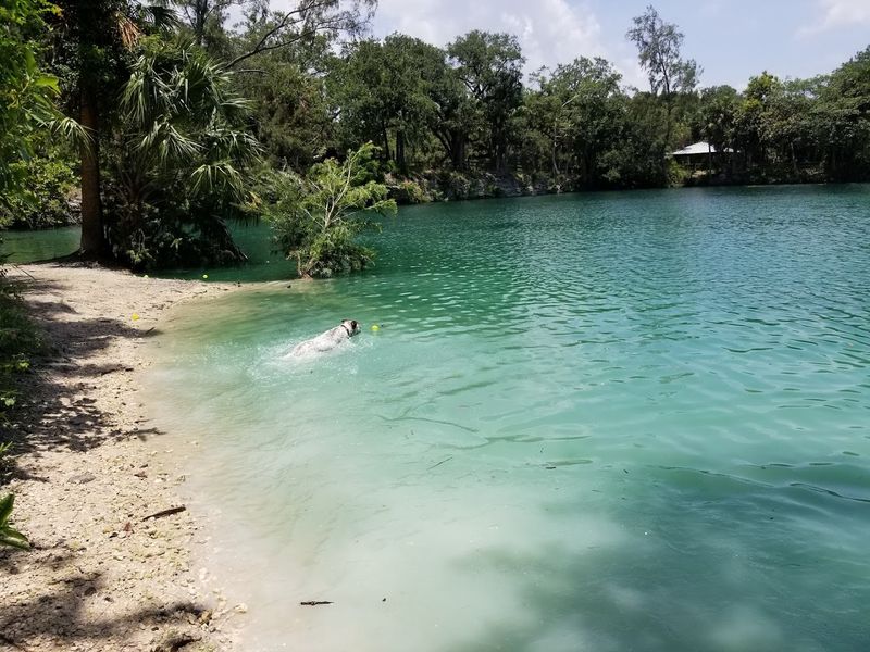 Completely Fenced Swimming Area for Off-Leash Safety