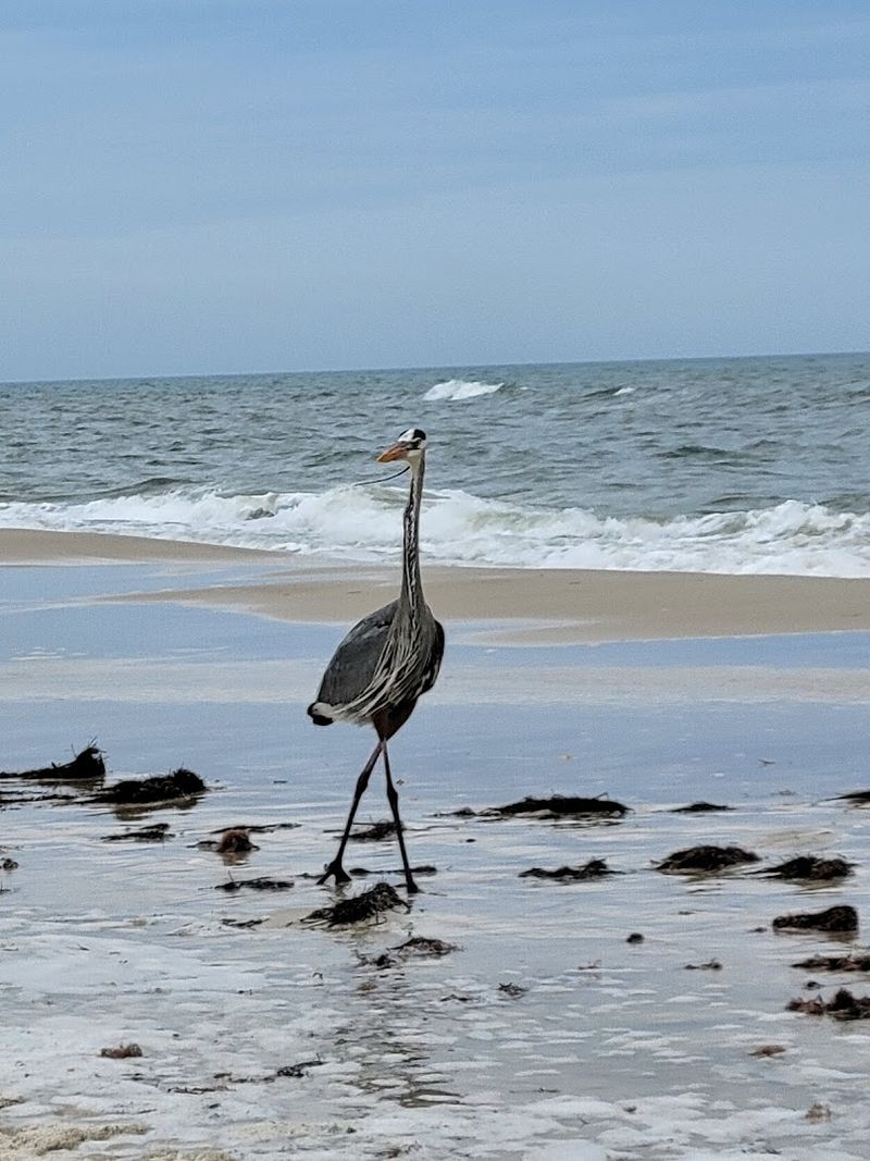 St. George Island State Park