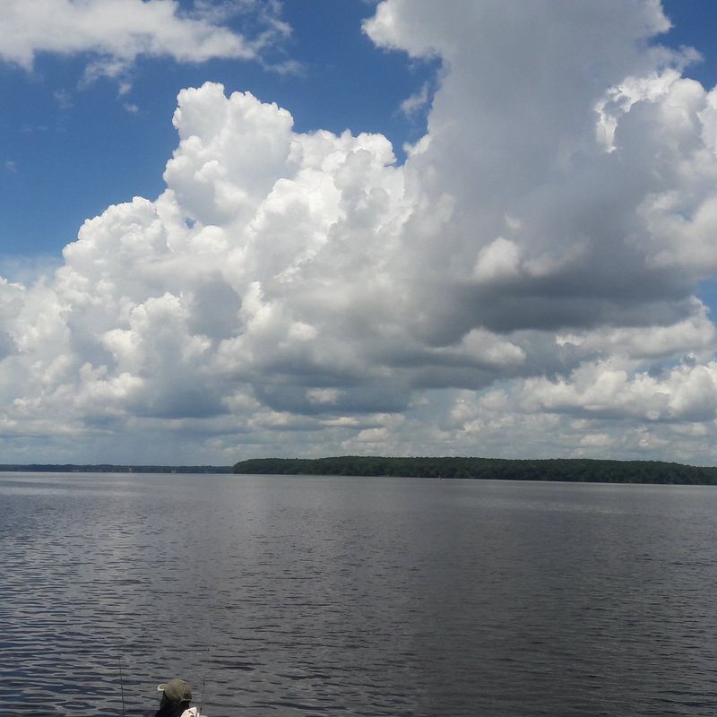 Lake Talquin (Tallahassee area)