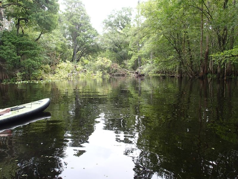 Hillsborough River (Thonotosassa/Tampa Area)