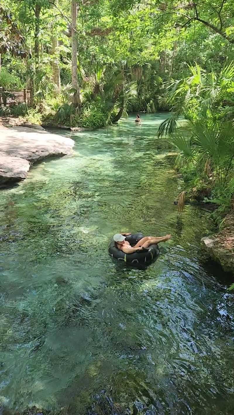 Wildlife You Might Spot Along the Way