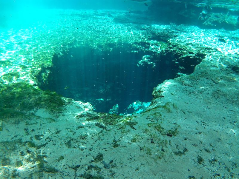 Devil's Spring System at Ginnie Springs (High Springs)
