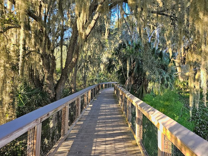 La Chua Trail (Paynes Prairie Preserve State Park)