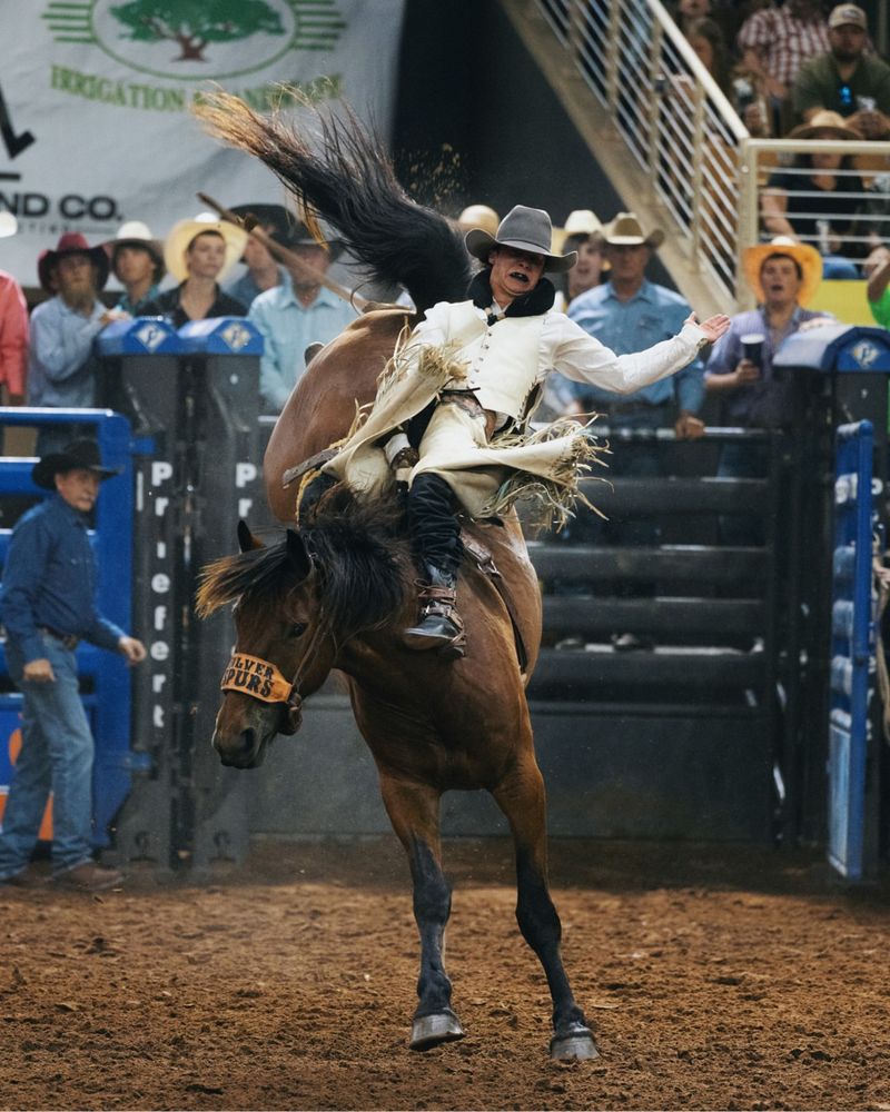 Saddle Bronc Riding With Old-School Cowboy Flair