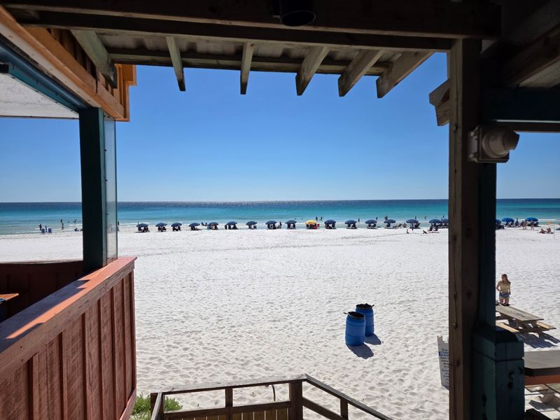 Gulf-View Dining That Feels Like a Local Secret