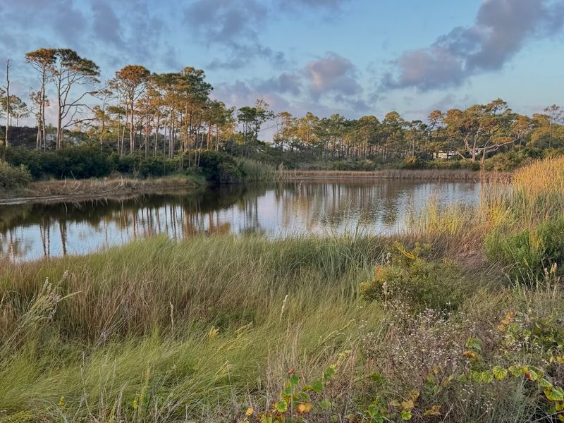 St. George Island State Park (St. George Island)