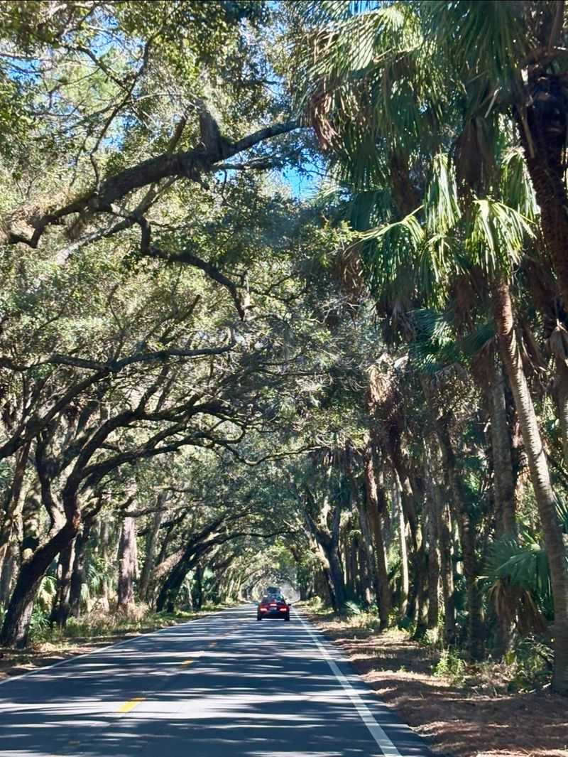 Martin Grade Scenic Highway (Palm City)