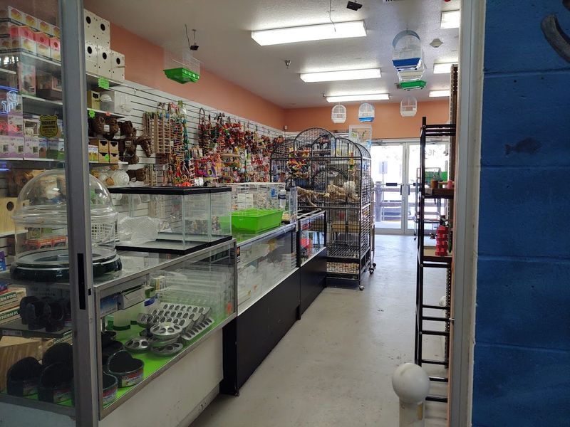 Weekend Warrior Shopping Schedule