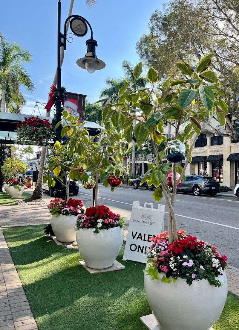 Fifth Avenue South, Naples