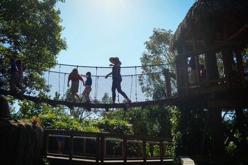 Swinging Bridge Adventures Across the Garden