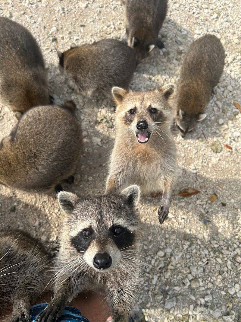 Water Beats Snacks Every Single Time