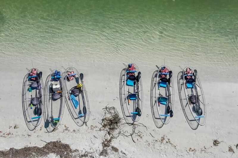 Learn from Passionate Guides Who Bring the Ecosystem to Life