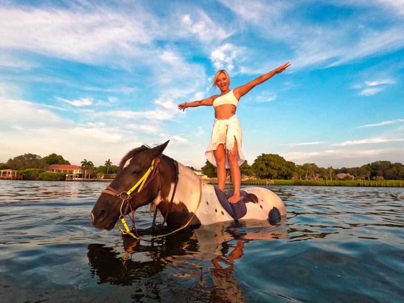 Swimming With Horses in the Gulf
