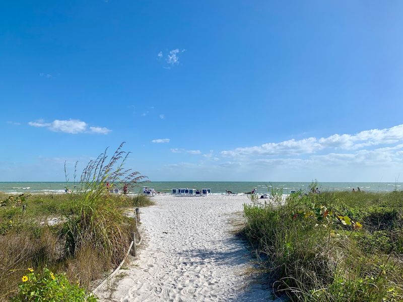World-Famous Shelling Beaches That Live Up to the Hype