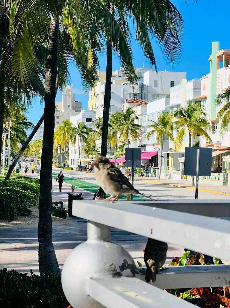 Growing Infrastructure and Development