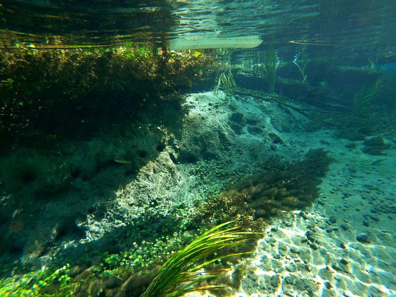 Ichetucknee Springs State Park, Fort White