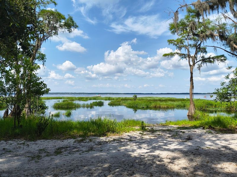 Lake Louisa State Park Beach (Clermont)