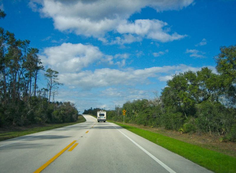 Florida Black Bear Scenic Byway (Ocala National Forest)