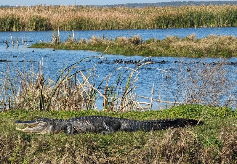 Open Only Friday Through Sunday Plus Holidays