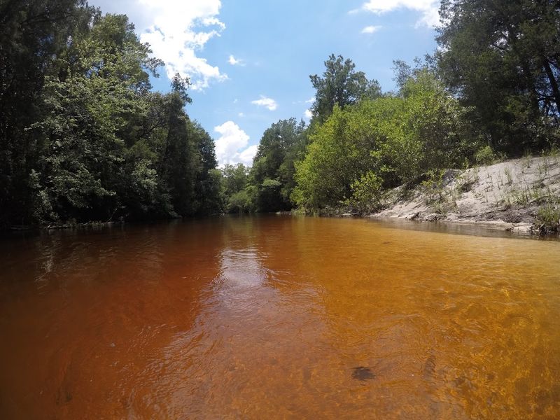 Blackwater River (Milton)